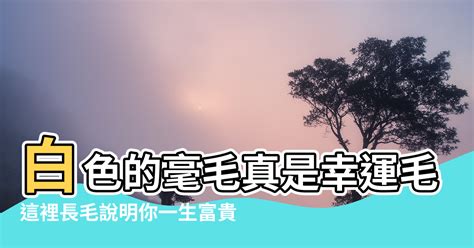 膝蓋毛|這裡長毛說明你一生富貴